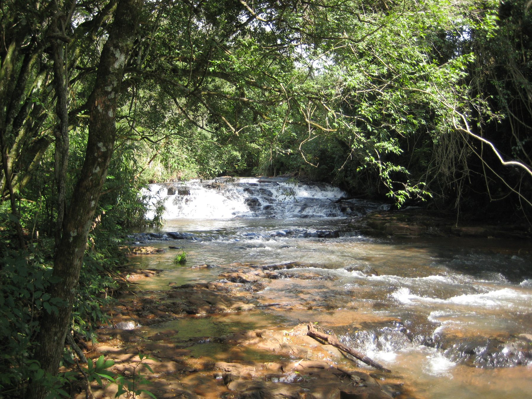 Riacho e natureza da Quinta do Sabor