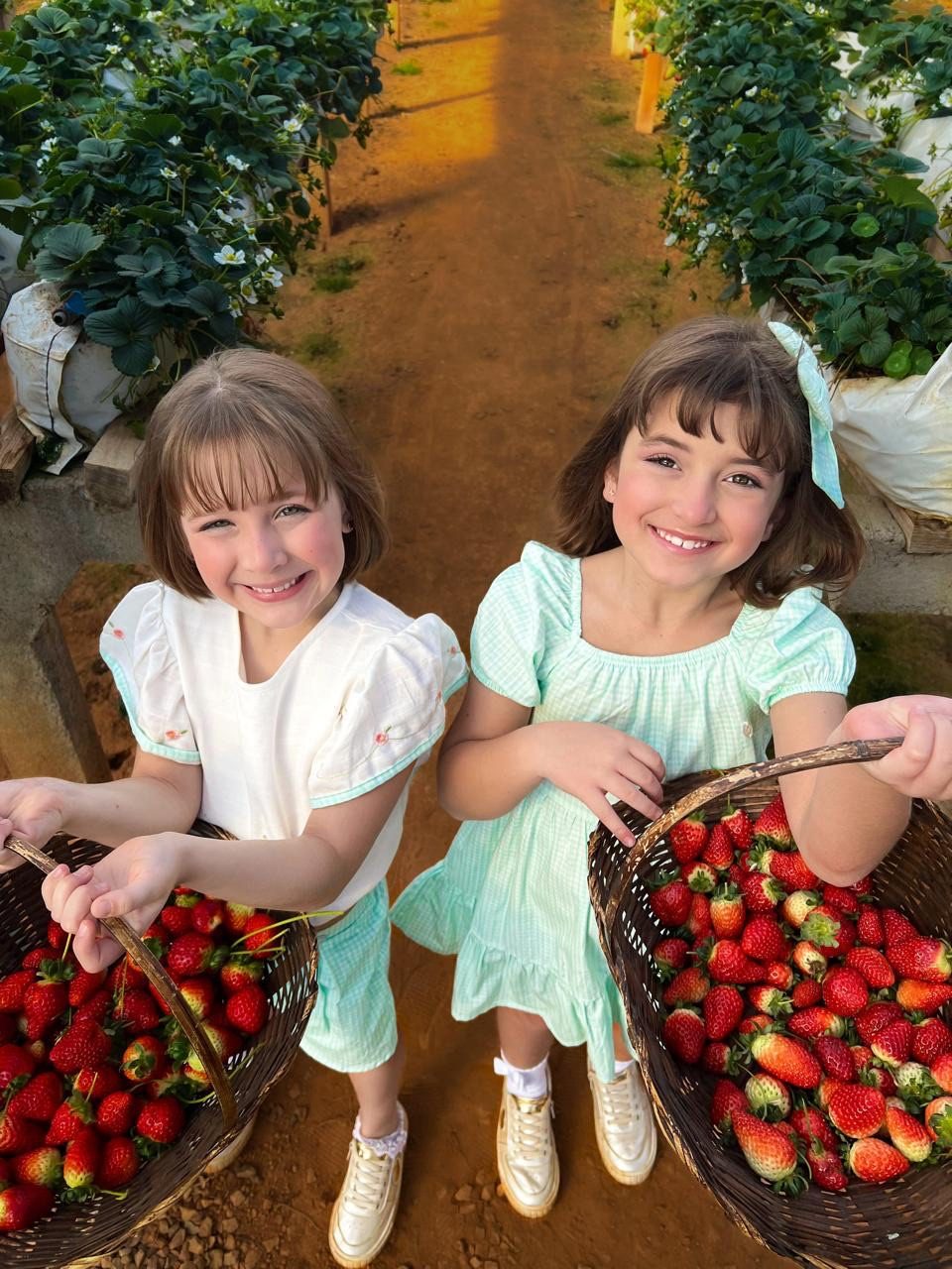 Meninas segurando uma cesta de morangos